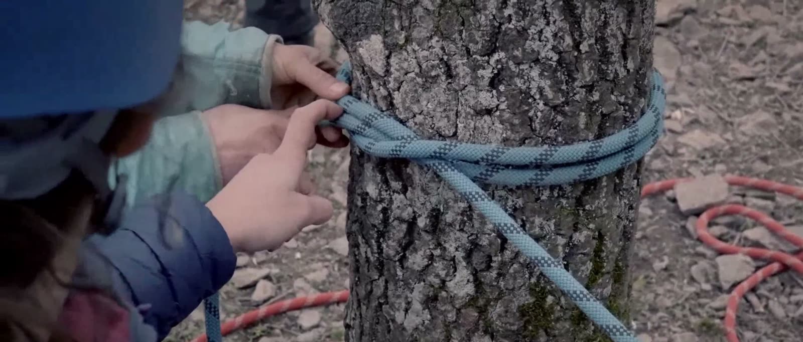 Twee handen leggen een blauw touw rond een boomstam.